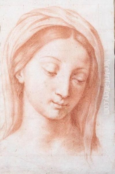 The Head Of The Madonna Oil Painting by Carlo Maratta or Maratti