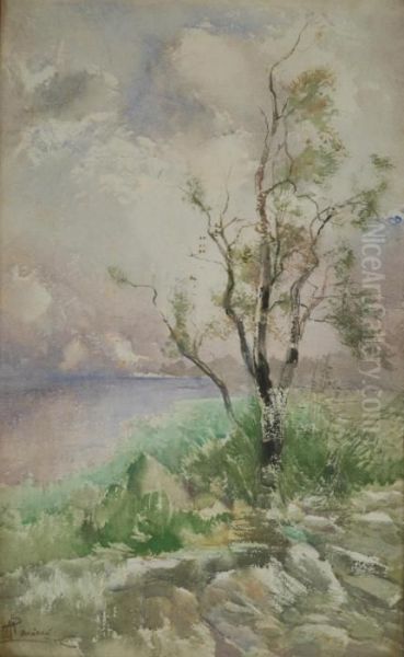 Albero Oil Painting by Pompeo Mariani