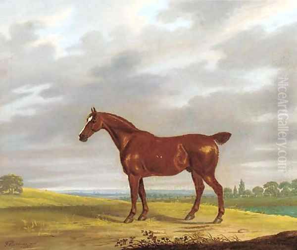 A chestnut hunter in an extensive landscape Oil Painting by John Hardman Powell