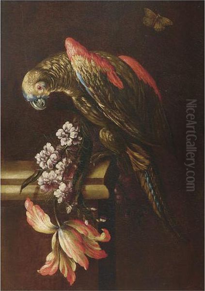 Natura Morta Con Fiori E Pappagallo Oil Painting by Mario Nuzzi Mario Dei Fiori