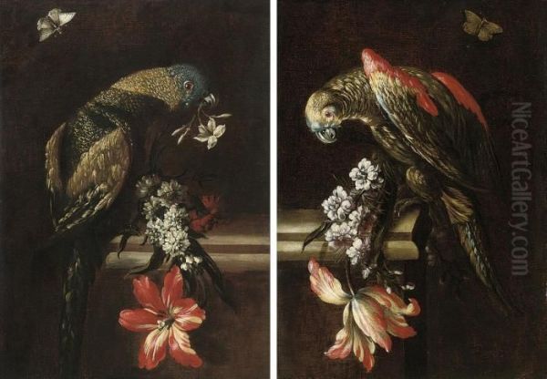 A Parrot With Blue, Green And 
Gold Plumage, Perched On A Stone Ledge, With Orange Blossom Oil Painting by Mario Nuzzi Mario Dei Fiori