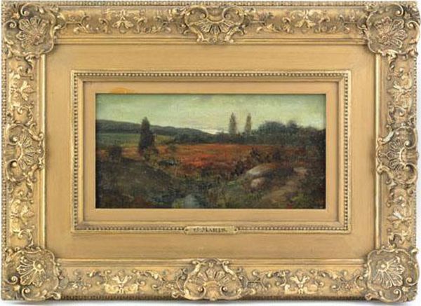 Landscape Oil Painting by Jacob Henricus Maris