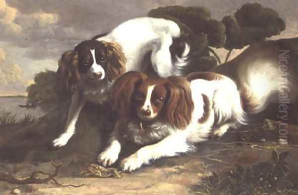 Two King Charles Spaniels Playing with a Frog Oil Painting by Christopher Pierson