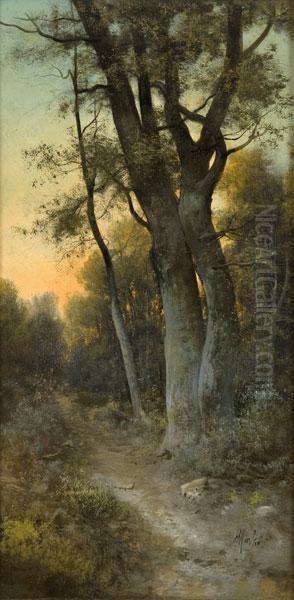 Sentiero Nel Bosco Oil Painting by Henry Marko