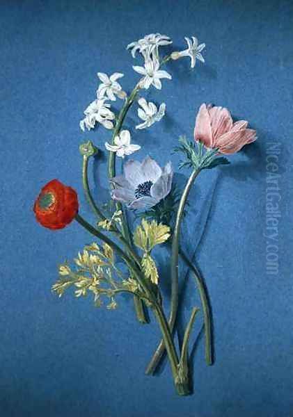 Ranunculus, anemones and jasmine Oil Painting by Alexis Nicolas Perignon