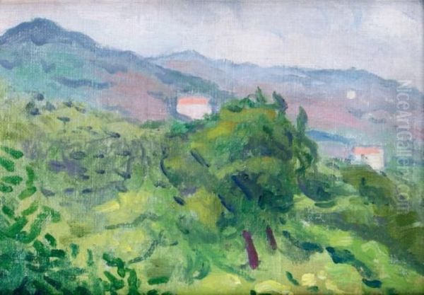 Paysage Pres De Ceret Oil Painting by Albert Marquet