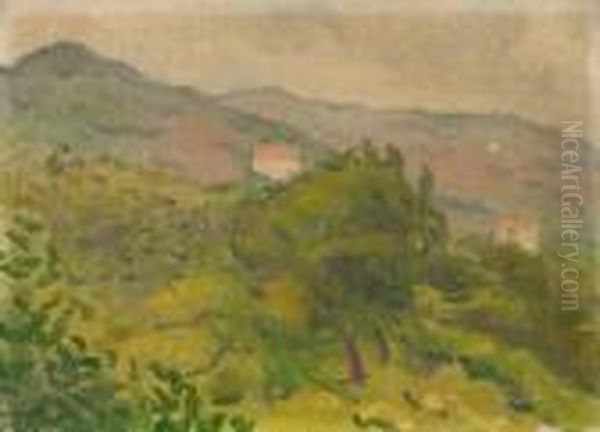 Paysagede Ceret Oil Painting by Albert Marquet