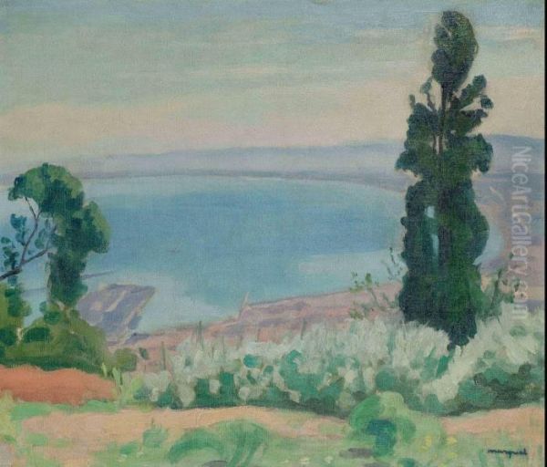 La Baie D'alger Oil Painting by Albert Marquet