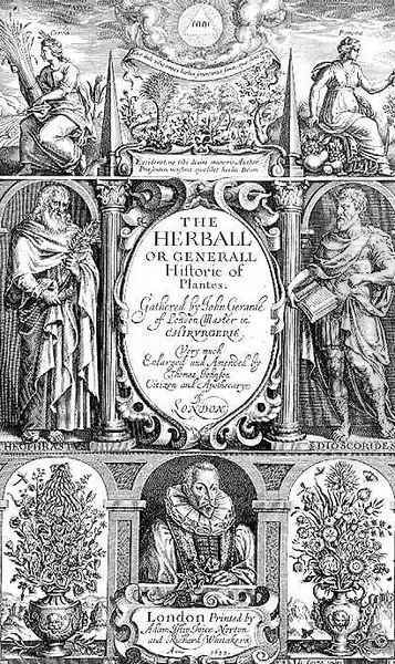 Title page to the second edition of The Herball by John Gerard 1564-1612 1633 Oil Painting by John Payne