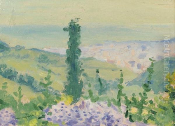 Bab-el-oued Vue De Montplaisant Oil Painting by Albert Marquet