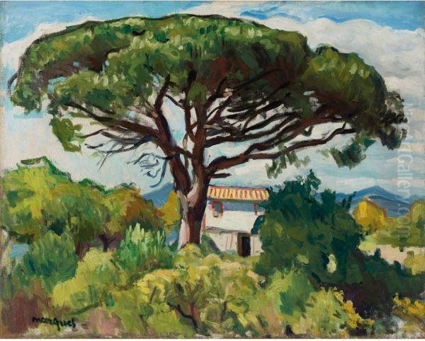 Pin A Saint-tropez Oil Painting by Albert Marquet