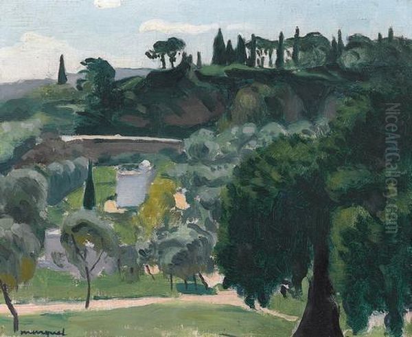 Coteaux De Mustapha Oil Painting by Albert Marquet