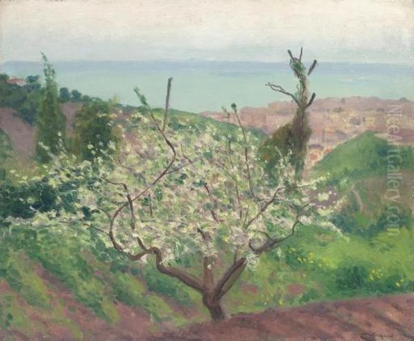 L'arbre En Fleurs Oil Painting by Albert Marquet