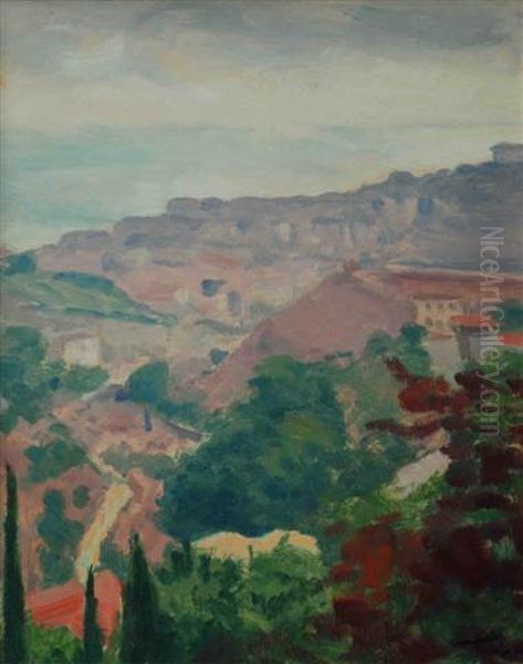 La Route, Montplaisant, Algiers Oil Painting by Albert Marquet