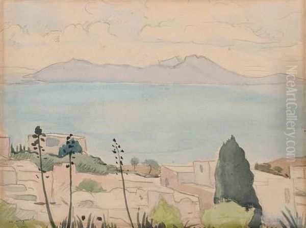 Baie De Tunis Oil Painting by Albert Marquet