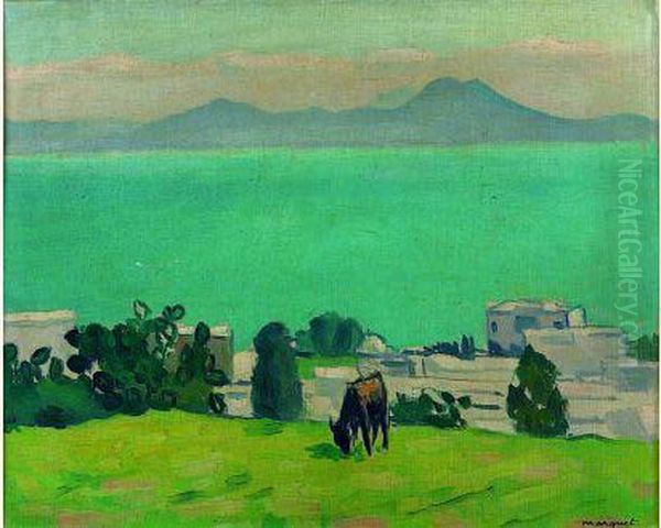 L'ane Broutant - Sidi Bou Said 1923 Oil Painting by Albert Marquet