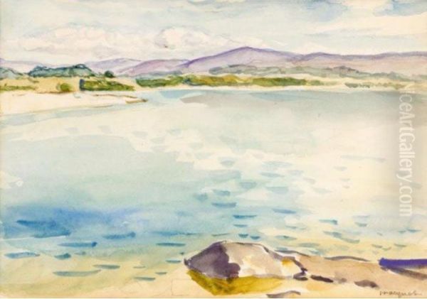 Vue De La Cote Oil Painting by Albert Marquet