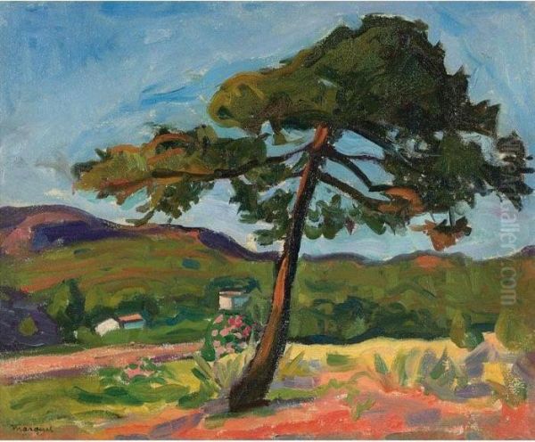 Le Pin, St. Tropez Oil Painting by Albert Marquet