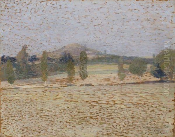 Paysage Aux Arbres Et A La Colline Oil Painting by Henri Martin