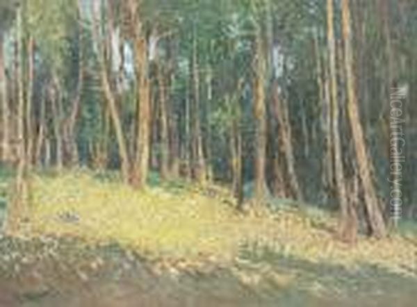 Paysage Au Foret Oil Painting by Henri Martin