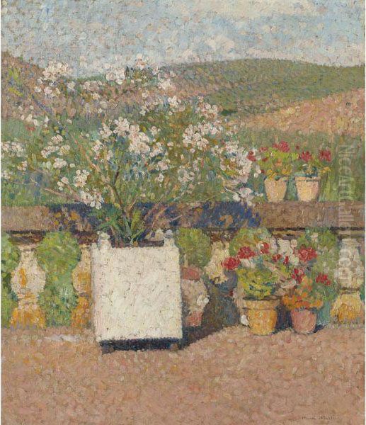 Bac De Lauriers-roses Et Pots De Geraniums Sur La Terrasse De Marquayrol En Ete Oil Painting by Henri Martin