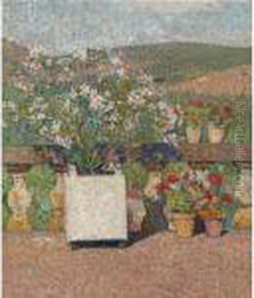 Bac De Lauriers-roses Et Pots De Geraniums Sur La Terrasse Demarquayrol En Ete Oil Painting by Henri Martin