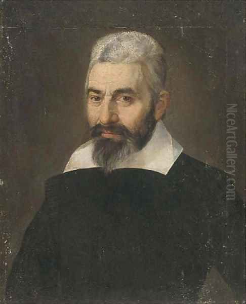 Portrait of a gentleman Oil Painting by Bartolomeo Passarotti