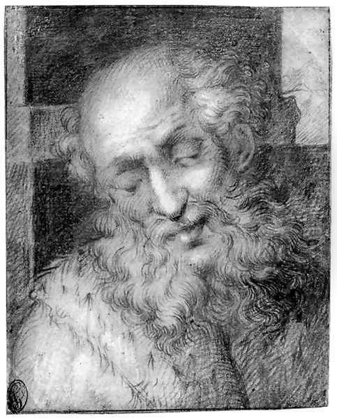 The head of a bearded old man Oil Painting by Camillo Procaccini