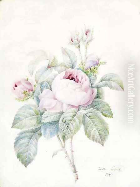 A Spray of pink Roses Oil Painting by Anne-Ernestine Panckoucke