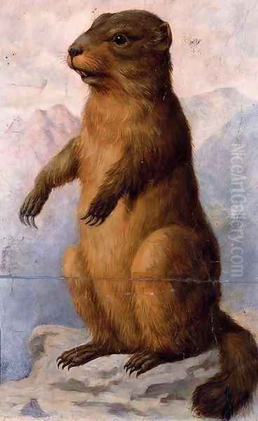 A marmot Oil Painting by August Von Pelzeln