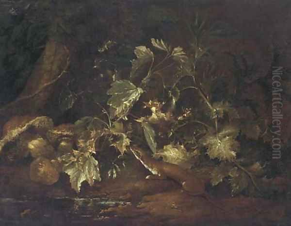 A forest floor still life with a stoat beside a pool Oil Painting by Paolo Porpora