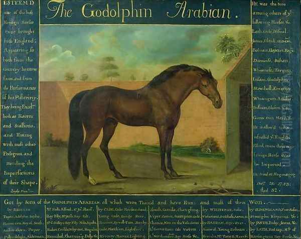 The Godolphin Arabian Oil Painting by Daniel Quigley