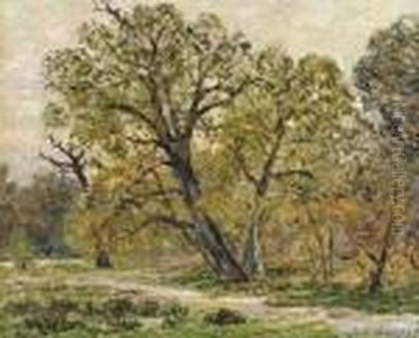 Automne, Foret De Fontainebleau Oil Painting by Maxime Maufra