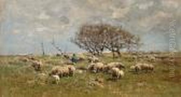 A Shepherd With Sheep In A Field Oil Painting by Anton Mauve