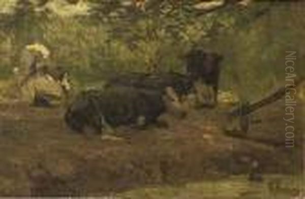 Resting Cows On A Summer Day Oil Painting by Anton Mauve