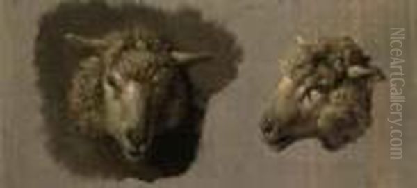 Sheep Heads Oil Painting by Anton Mauve