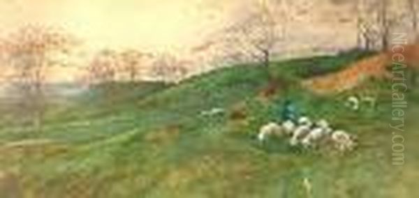 Shepherd And His Flock On A Hillside Oil Painting by Anton Mauve