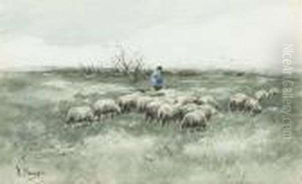 Changing Pastures Oil Painting by Anton Mauve