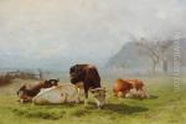 Cows In A Sunny Meadow Oil Painting by Anton Mauve