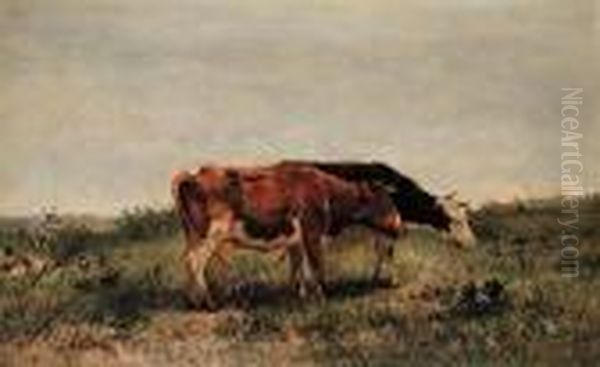 Untitled - Contented Cows Oil Painting by Anton Mauve