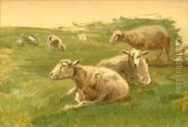 Sheep Resting Oil Painting by Anton Mauve