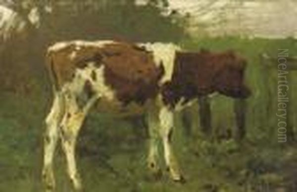 The Calf - A Study Oil Painting by Anton Mauve