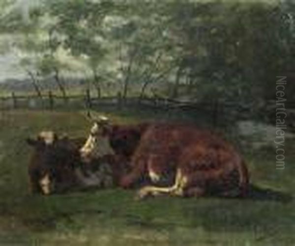 Two Cows Resting In A Meadow. Oil Painting by Anton Mauve