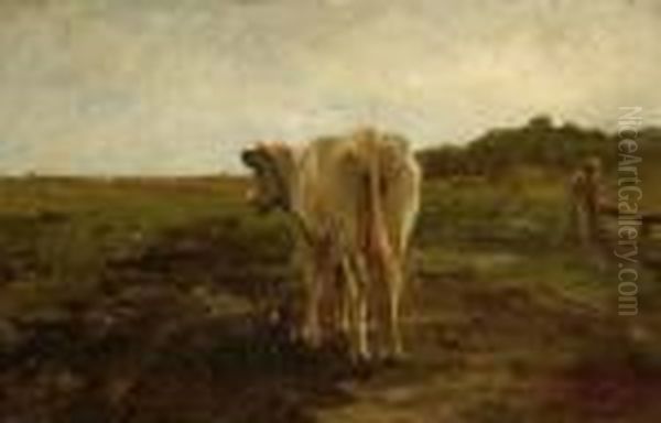 A White-brown Cow In A Landscape Oil Painting by Anton Mauve