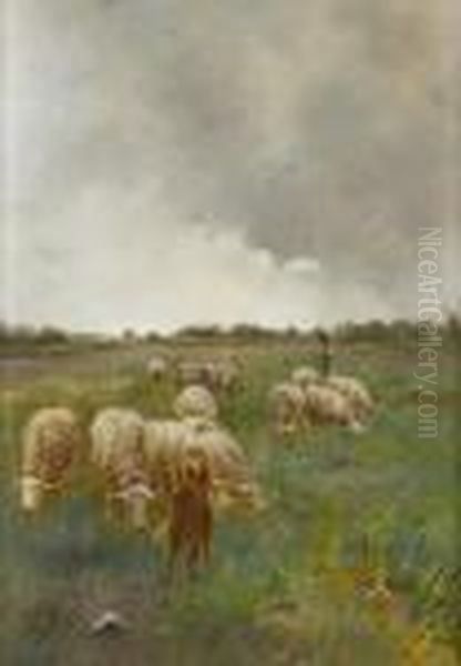 Tending Sheep Oil Painting by Anton Mauve