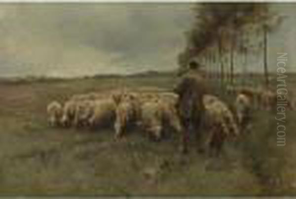 A Shepherd With His Flock Oil Painting by Anton Mauve