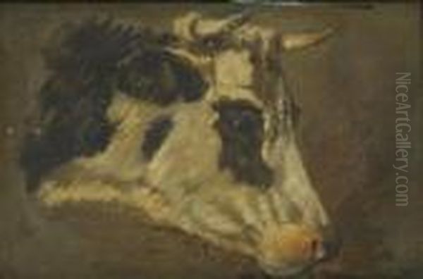 Cow's Head Oil Painting by Anton Mauve