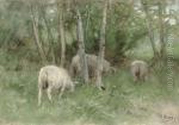 Sheep In A Meadow Oil Painting by Anton Mauve