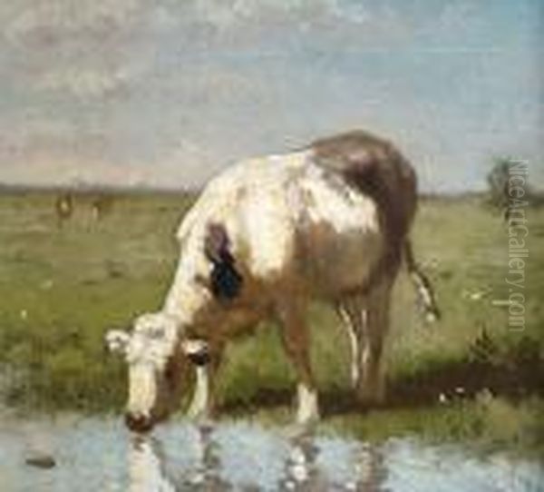 A Cow Drinking At A Pond Oil Painting by Anton Mauve