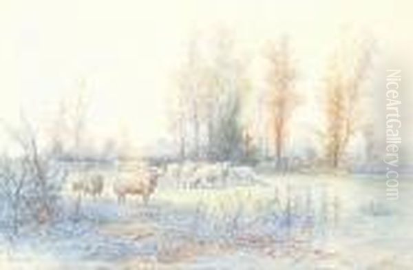 Flock Of Sheep In A Field Oil Painting by Anton Mauve